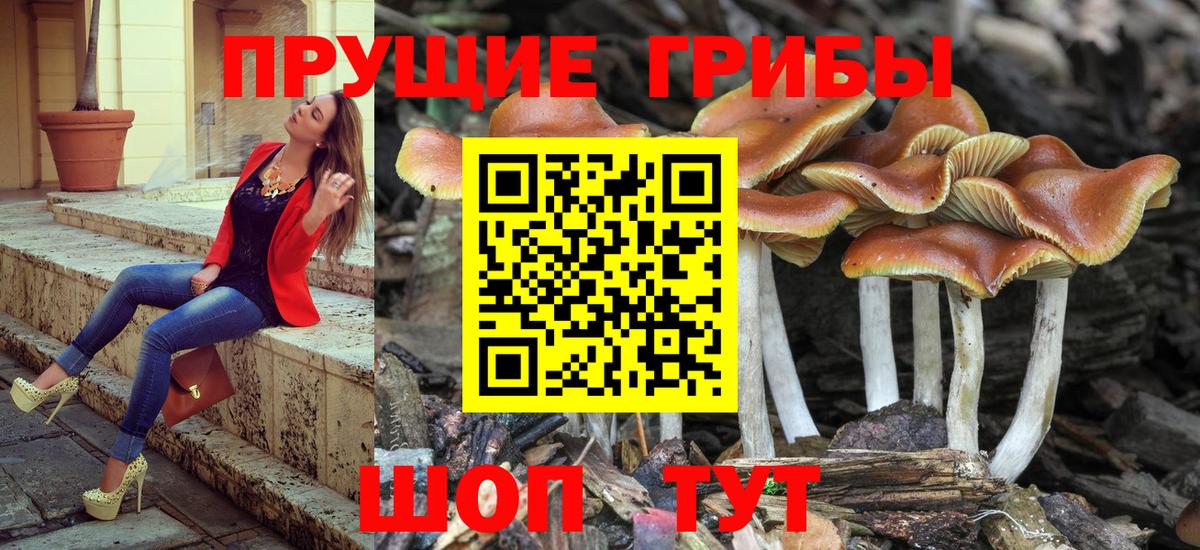 Галлюциногенные грибы прущие грибы Фролово