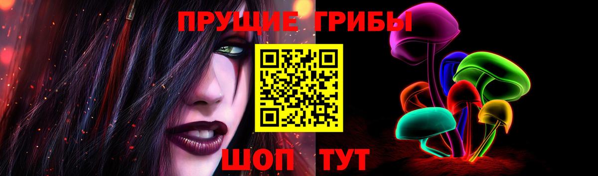 Галлюциногенные грибы Psilocybe  как найти наркотики  Фролово  Вход с VPN 